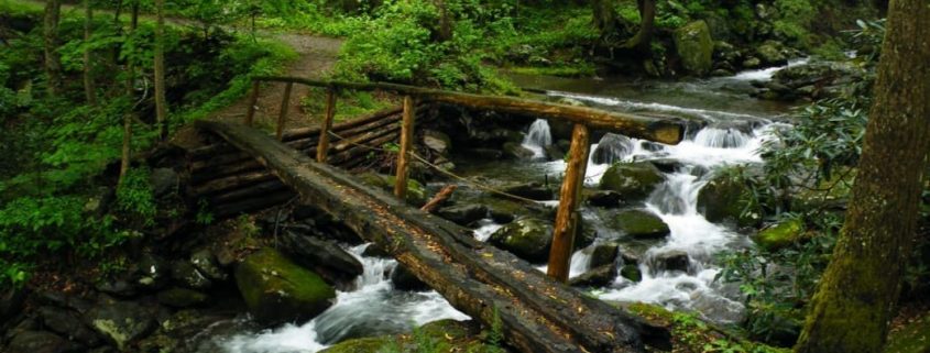 Near the trailhead for Mt. LeConte