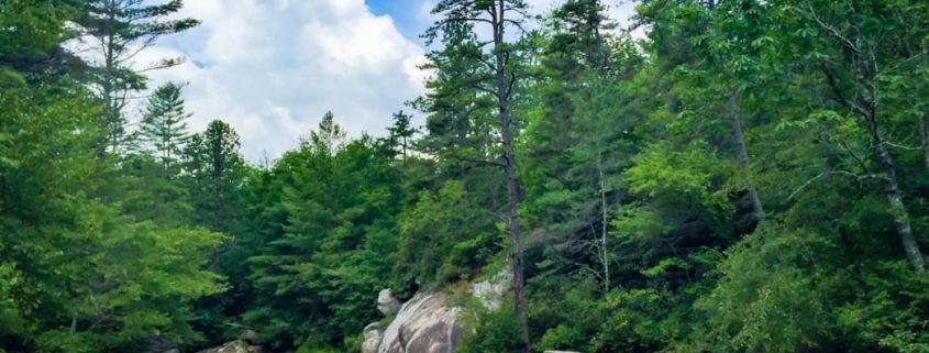 DuPont State Forest