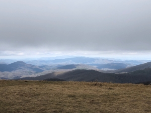 View from Max Patch in Winter
