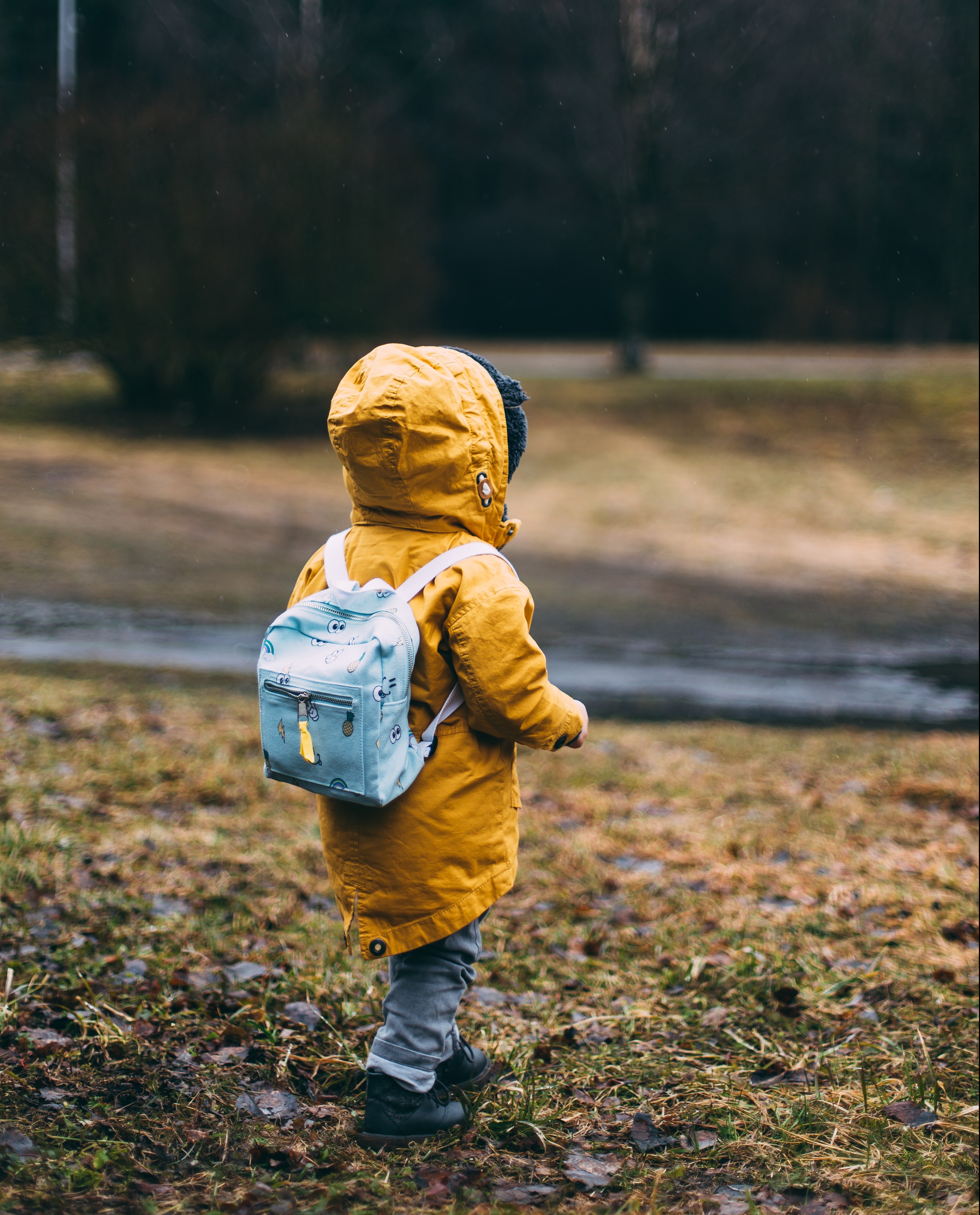 7 kid-friendly games to play on trail walks and nature hikes – Active For  Life